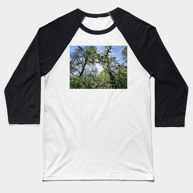 An endless forest Baseball T-Shirt by Thepurplepig